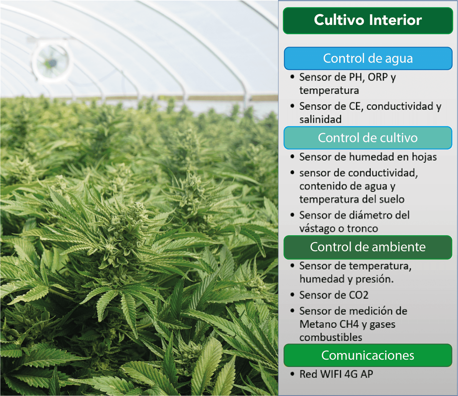 data-science-008 Cultivo de CBD