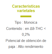 Cultivos de Cáñamo Iberian CBD